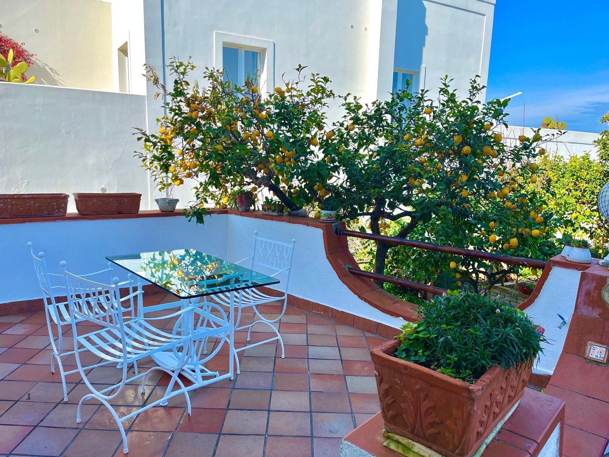 Villa Elke Ischia Zewnętrze zdjęcie