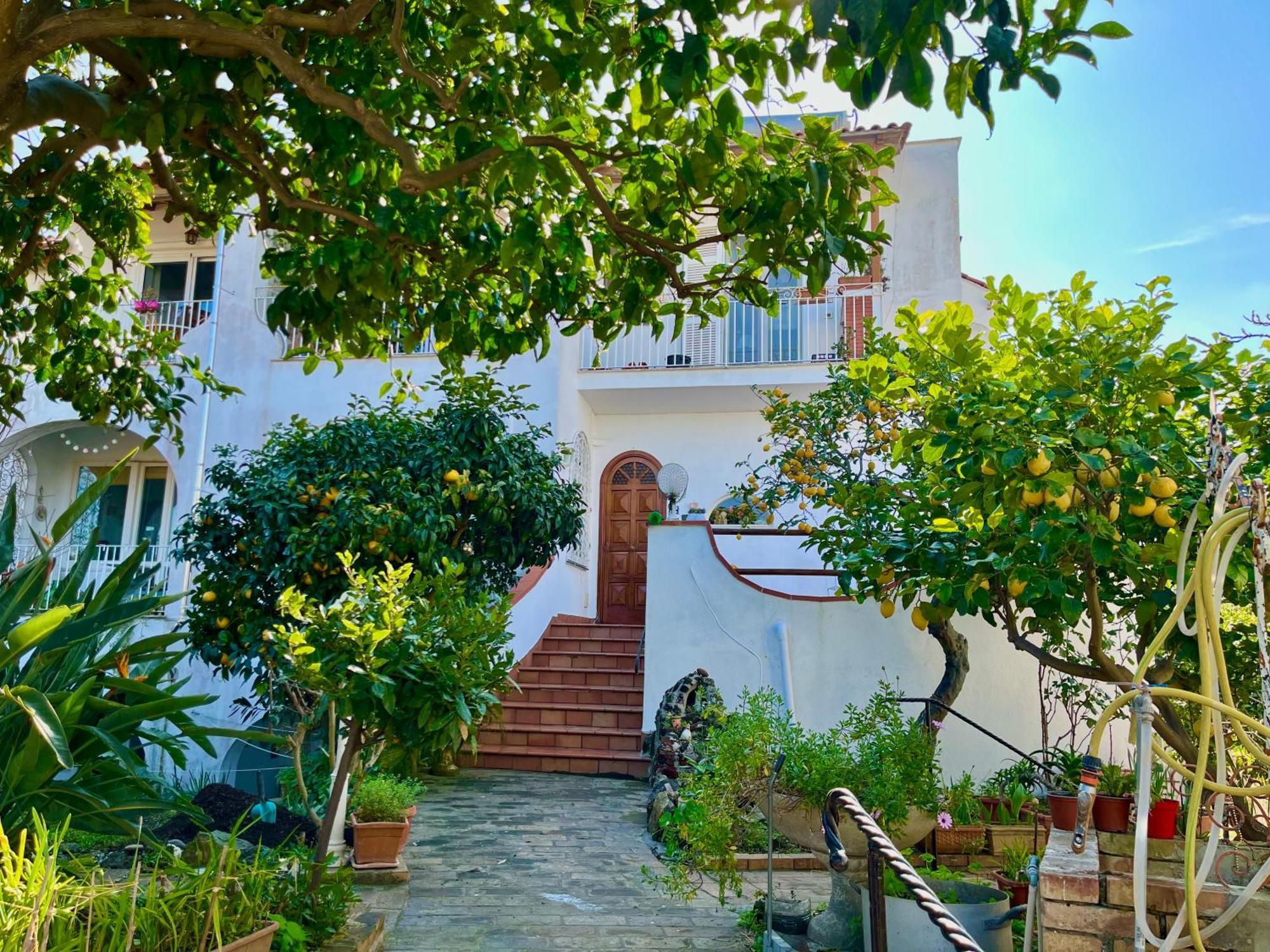 Villa Elke Ischia Zewnętrze zdjęcie